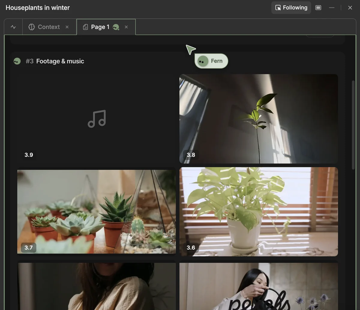 Espacio de trabajo de Agent Two de InVideo mostrando los clips de stock elegidos para el guion de las plantas, incluidas suculentas y un potos