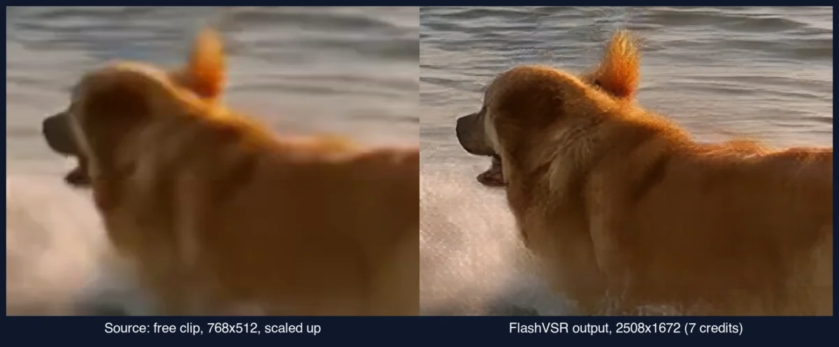 Matching crops of the source clip and the FlashVSR upscale from Upsampler, showing sharper fur and water